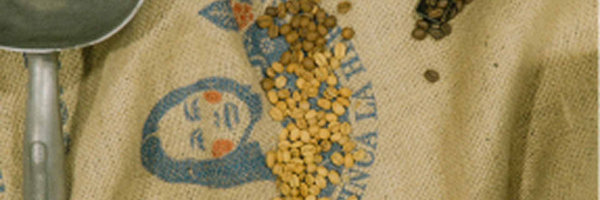 Sustainability Banner